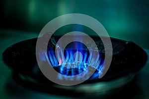 Blue gas flames on gas stove for cooking food.