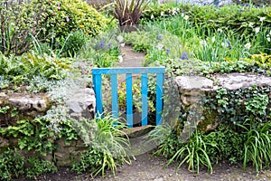 Blue gate in a wild garden