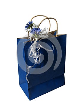 Blue gift bag
