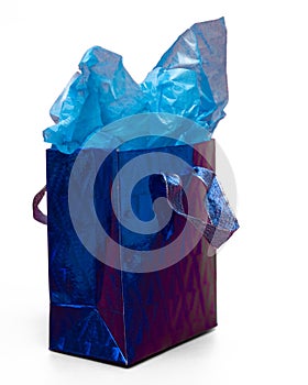 Blue Gift Bag