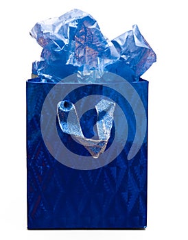 Blue Gift Bag