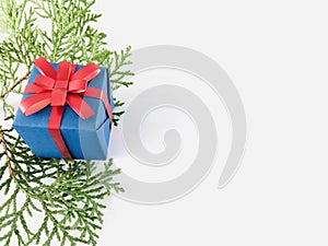 Blue gift box with red ribbon on white background with branches aside