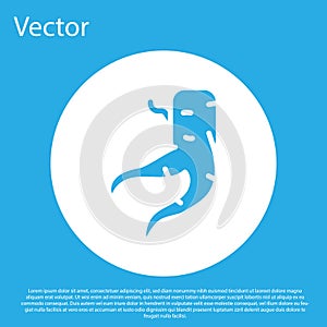 Blue Ginger root icon isolated on blue background. White circle button. Vector