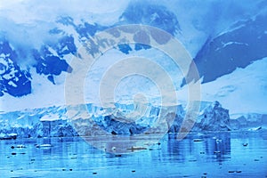 Blue Glacier Snow Mountains Paradise Bay Skintorp Cove Antarctica