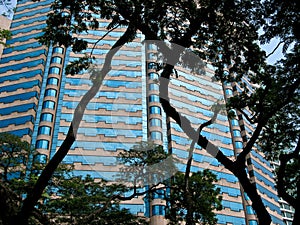 Blue glass building in Malaysia photo