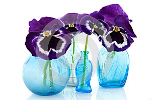 Blue glass vases with Pansies photo
