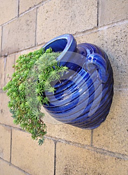 Blue Glazed Pot photo