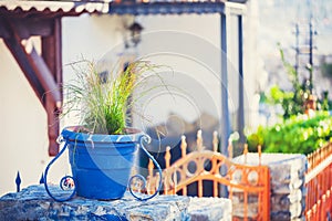 Blue glazed terracotta plant pots filled with