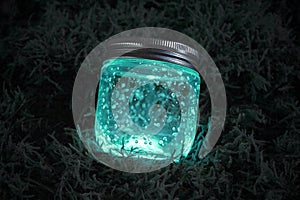 Blue glowing jar on the moss