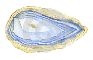 Blue and gold agate Stone. Mineral slice. Watercolor illustration isolated on white background. Watercolour Art.