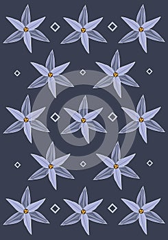 Blue Gorgeous Spring Star Flowers Wallpaper