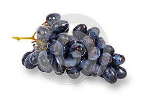 Blue grape