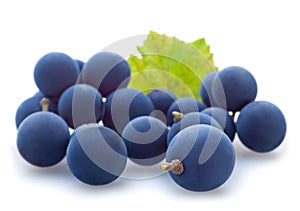 Blue grape berry