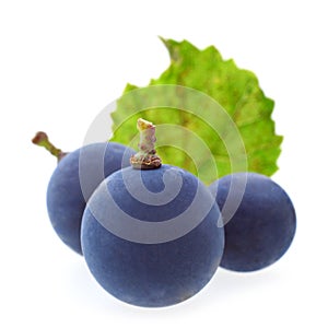 Blue grape berry