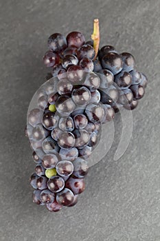 Blue grape cluster on slate board