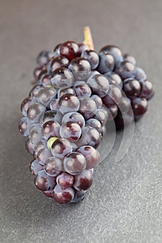 Blue grape cluster on slate board