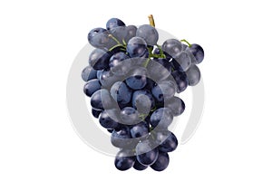 Blue grape isolated on a white background. Food