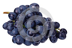 Blue grape isolated on a white background. Food