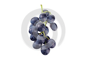 Blue grape isolated on a white background. Food