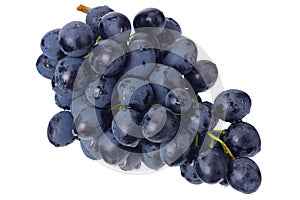 Blue grape isolated on a white. Food