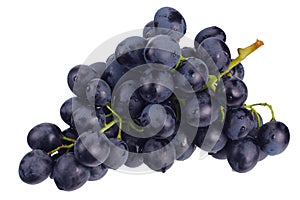 blue grape isolated on a white. Food