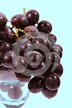 Blue grapes