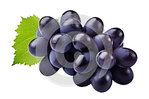 blue grapes bunch isolated on white background. Generative AI