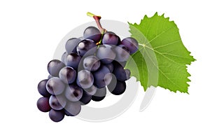 blue grapes bunch isolated on white background. Generative AI