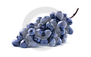 Blue grapes bunch no leaf isolated on white background