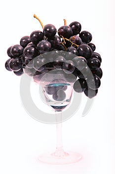 Blue grapes in glass