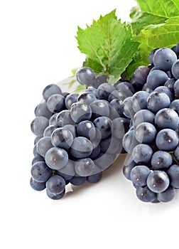 Blue grapes with green leaf