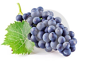 Blue grapes with green leaf