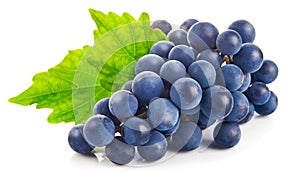 Blue grapes with green leaf healthy eating, on white background.