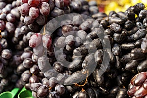 Blue grapes lie on a farmer's market counter.