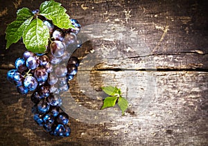 Blue Grapes on Rustic board