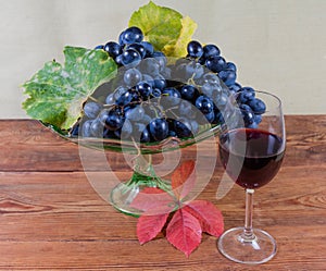 Blue grapes on vintage fruit vase, vine leaves, red wine