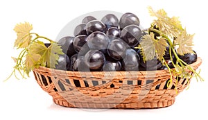 Blue grapes in a wicker basket isolated on white background