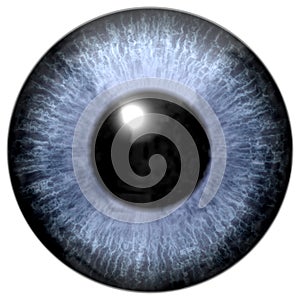 Blue gray eye texture, human eyeball