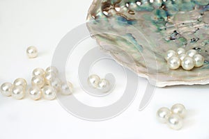 Blue and gray sea shell with little round pearls isolated white background