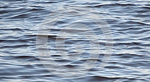 Blue gray water background texture with soft waves on Florida nature