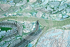 Blue-green algae on a lake in denmark