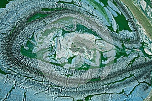 Blue-green algae on a lake in denmark