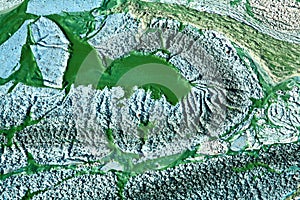 Blue-green algae on a lake in denmark