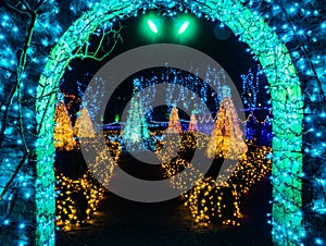 Blue Green Arch Christmas Lights Van Dusen Garden Vancouver British Columbia Canada photo