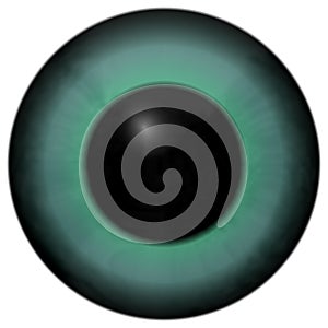 Blue green eyeball with black round
