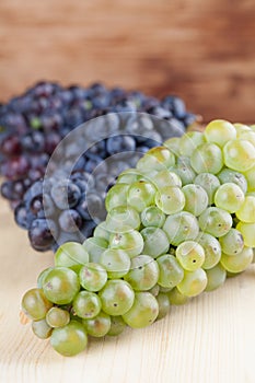 Blue and green grape clusters