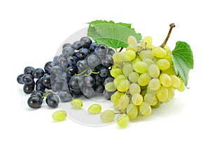 Blue and green grape fruits isolated