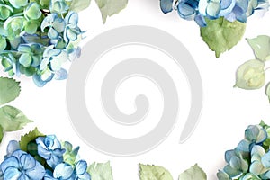 Blue green hortensia flowers using watercolors, wreath with copy space on a white background