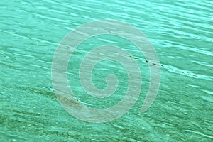 Blue-Green Water Gently Rippling