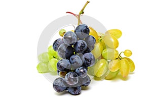 Blue and green wet grapes bunch isolated on white background